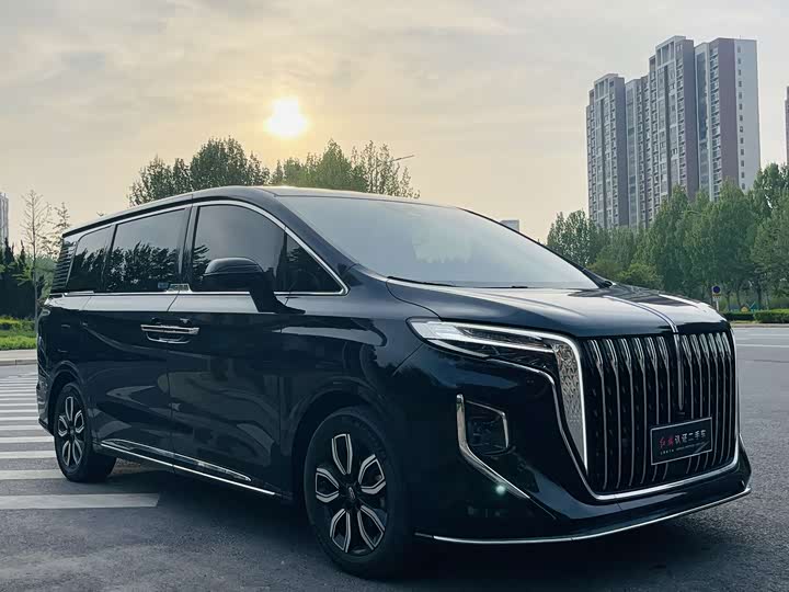 Hongqi HQ9 2023 2.0 T — фото 3