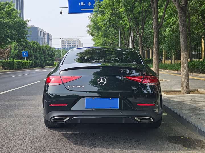 Mercedes-Benz CLS 2023 CLS 300 — фото 5