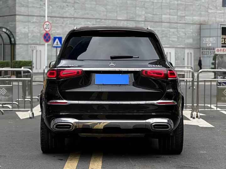 Maybach GLS 2022 GLS 480 4 MATIC — фото 21