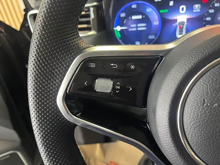 Hongqi HS7 PHEV 2024 2.0 T PHEV 4 WD 6 — фото 13