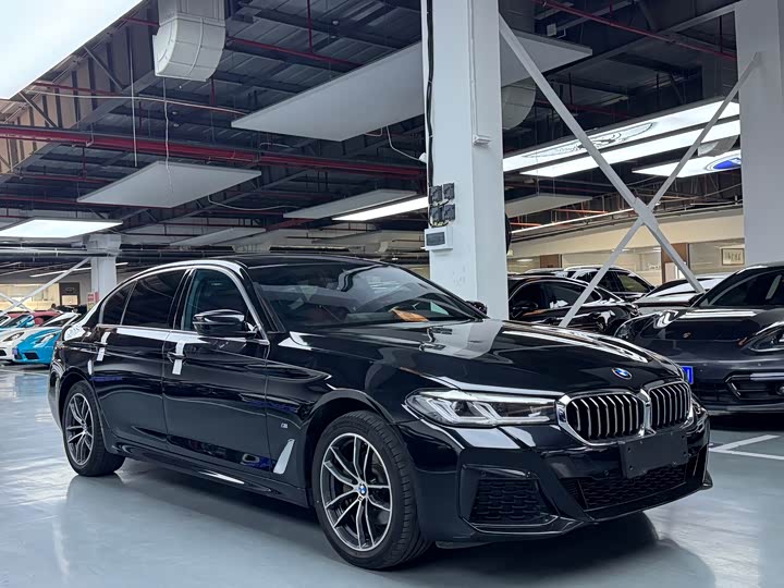 BMW 5 Series 525Li M спортпакет — фото 3