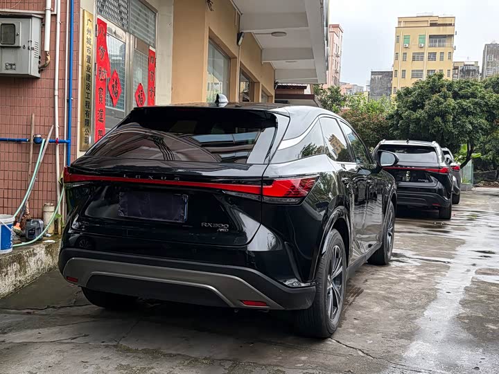 Lexus RX 2025 300 4 WD — фото 10