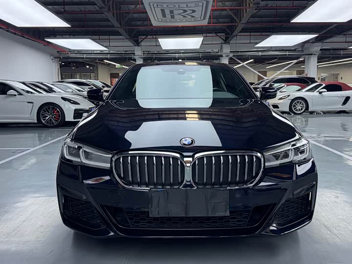 BMW 5-Series 2021 530 Li Leading M — фото 2