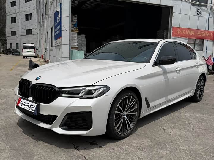 BMW 5-Series 2020 530 Li Leading M — фото 1