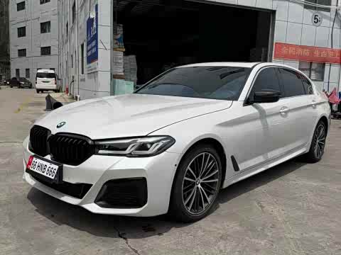 BMW 5-Series 2020 530 Li Leading M — фото 11