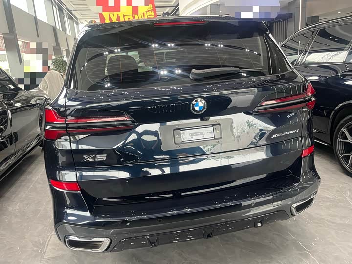 BMW X5 2023 x Drive 30 Li M — фото 8