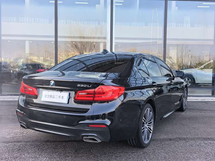BMW 5-Series 2018 530 Li Leading M — фото 5