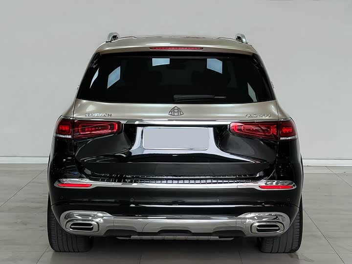 Mercedes-Benz GLS 2020 GLS 450 4 MATIC Luxury — фото 6