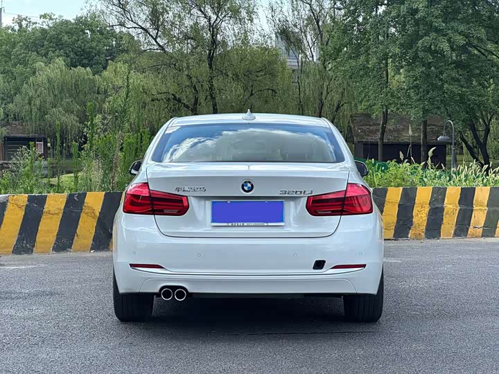 BMW 3 Series 320Li стиль — фото 6