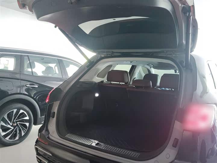 Hongqi HS5 2023 2.0 T 4 WD Pro — фото 15
