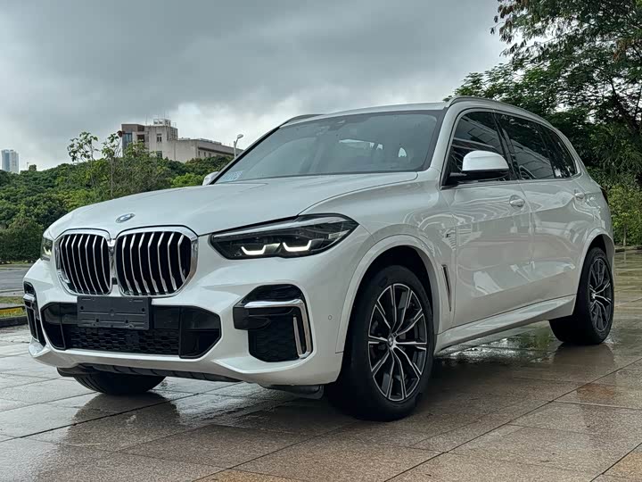 BMW X 5 2022 x Drive 30 Li M