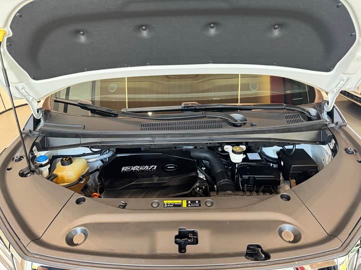 Trumpchi M8 2023 400 T — фото 15