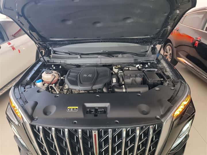 Hongqi HS5 2023 2.0 T Pro — фото 16