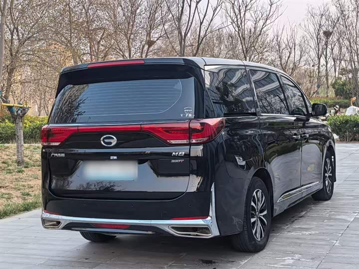 Trumpchi M8 2023 390 T — фото 16