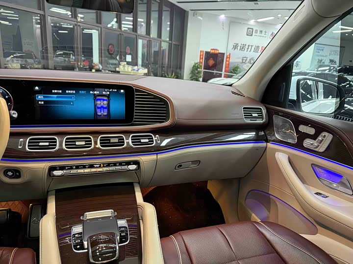 Maybach GLS 2021 GLS 480 4 MATIC — фото 19