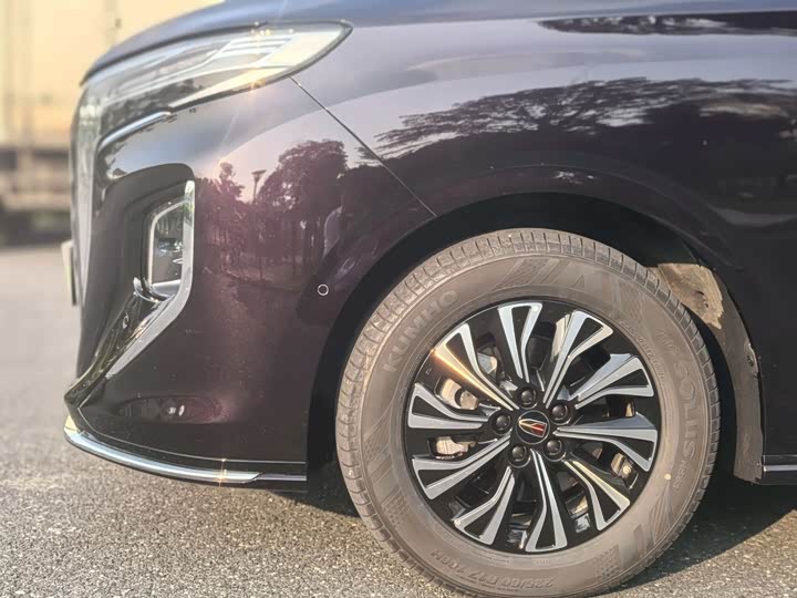 Hongqi HQ9 PHEV 2024 2.0 T 4 WD — фото 6