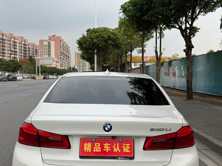 BMW 5-Series 2019 530 Li Leading M — фото 5
