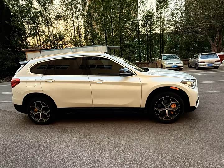 BMW X1 2016 x Drive 20 Li Luxury — фото 3