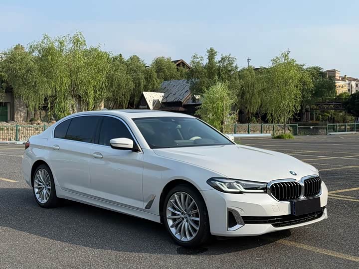 BMW 5-Series 2021 530 Li — фото 2