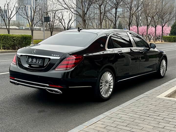 Maybach S-Class 2019 S 450 4 MATIC — фото 5