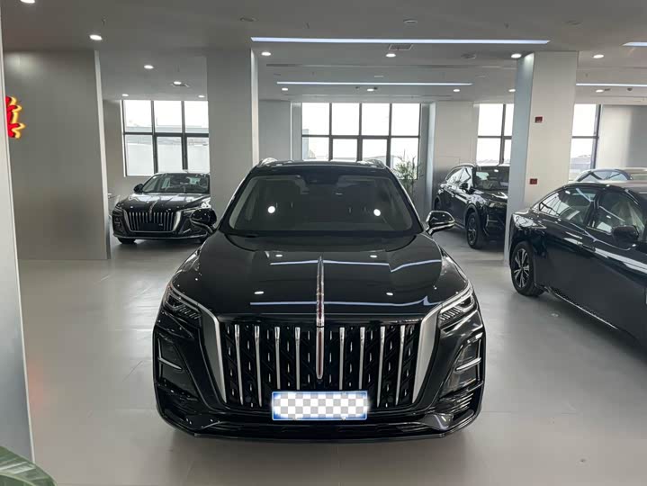 Hongqi HS5 2023 2.0 T Pro — фото 2