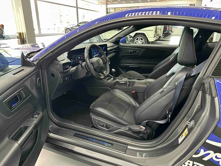 Ford Mustang 2024 5.0 L V 8 Dark Horse — фото 8