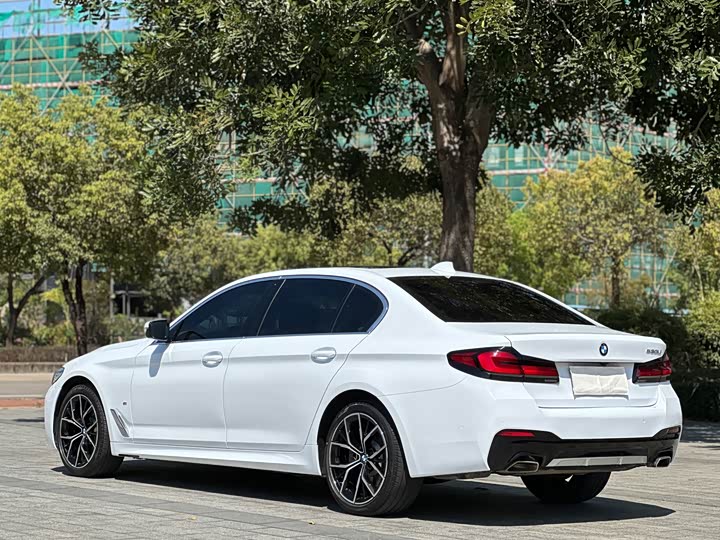 BMW 5-Series 2021 530 Li M — фото 4