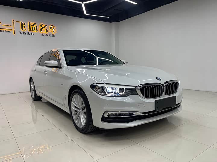BMW 5-Series 2018 530 Li Leading — фото 3
