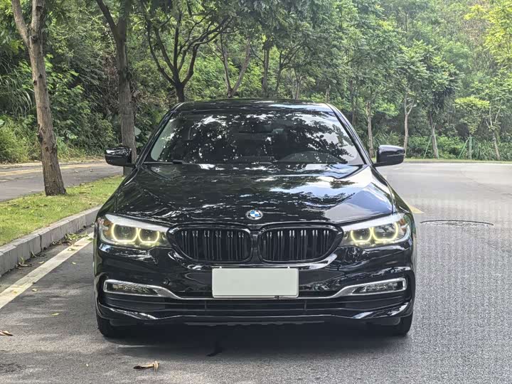 BMW 5 Series 525Li люкс-пакет — фото 18