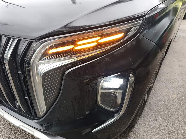 Hongqi HS7 2024 2.0 T AT 2 WD — фото 18