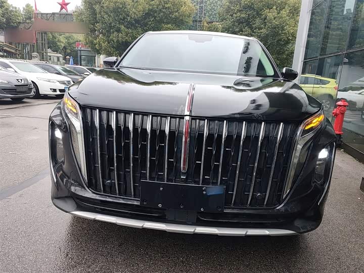 Hongqi HS7 2024 2.0 T AT 2 WD — фото 3