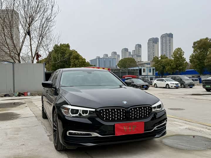 BMW 5-Series 2019 530 Li Leading — фото 4