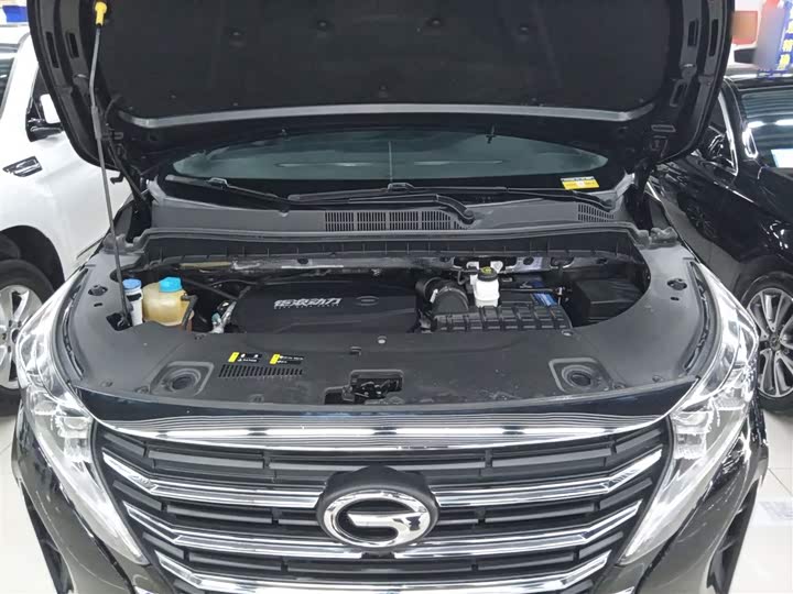 Trumpchi M8 2023 390 T — фото 16