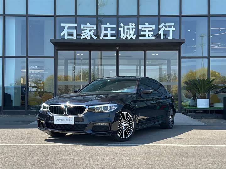 BMW 5-Series 2019 530 Li Leading M — фото 1