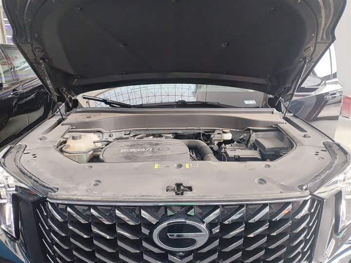 Trumpchi GS8 2024 2.0 TGDI 2 WD 7 — фото 10