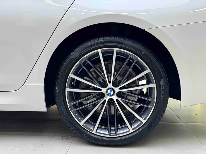 BMW 5-Series 2023 530 Li x Drive M — фото 19