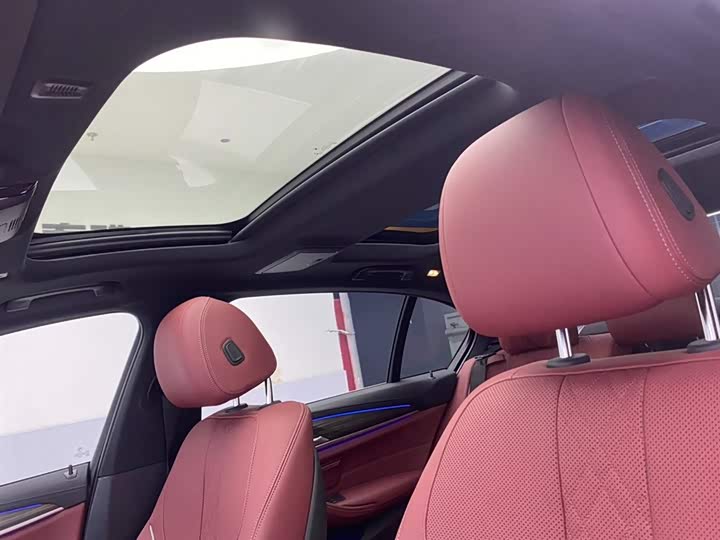 BMW 5-Series 2022 530 Li Leading M — фото 24