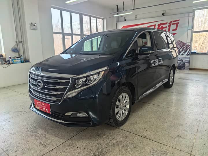 Trumpchi M8 2018 320 T