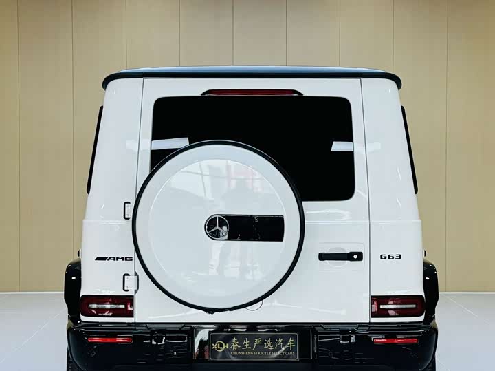Mercedes-Benz G-Class 2022 G 500 — фото 15