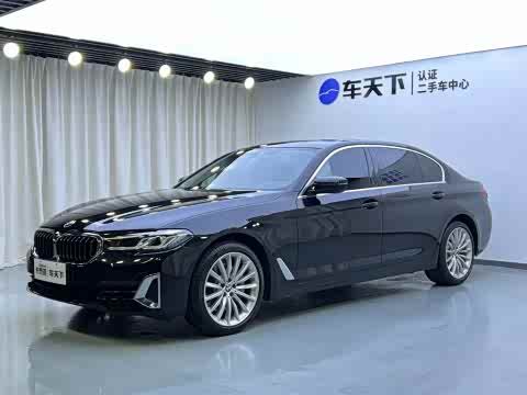 BMW 5-Series 2021 530 Li — фото 28