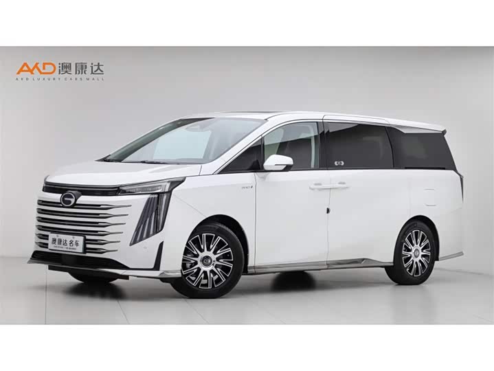 Trumpchi E9/2.0T/23 /MAX — фото 1