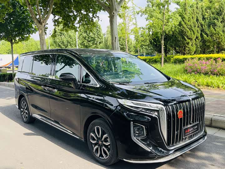 Hongqi HQ9 2023 2.0 T — фото 3