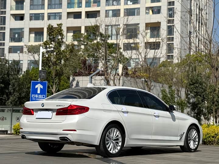 BMW 5-Series 2019 530 Li Leading — фото 7