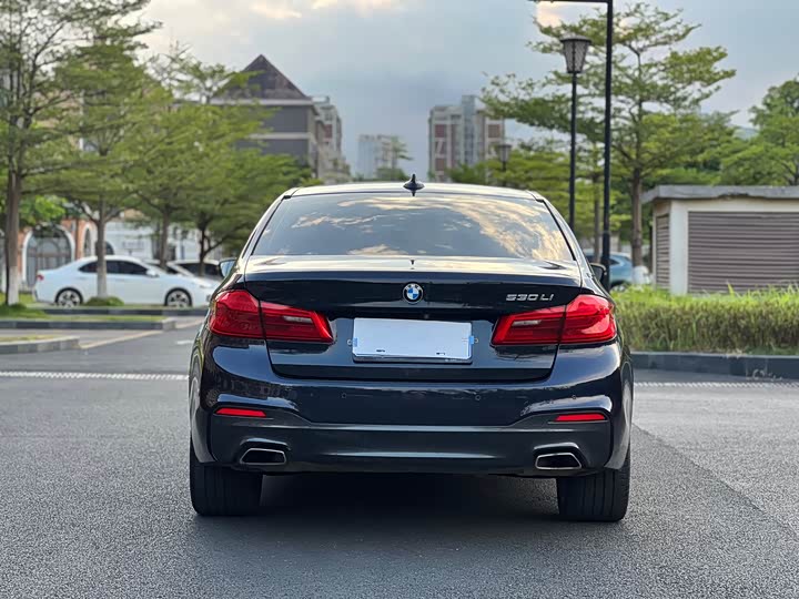BMW 5-Series 2018 530 Li Leading M — фото 26