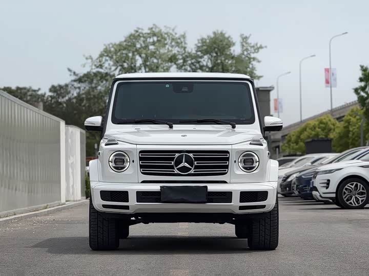 Mercedes-Benz G-Class 2019 G 500 — фото 2