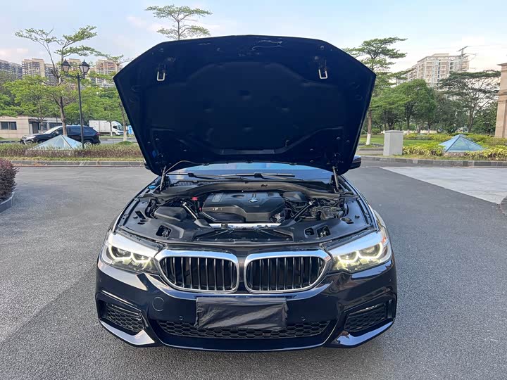 BMW 5-Series 2018 530 Li Leading M — фото 20