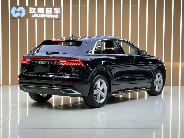 Audi Q8 2019 45 TFSI — фото 18
