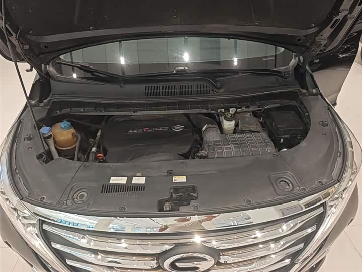 Trumpchi M8 2020 390 T — фото 20