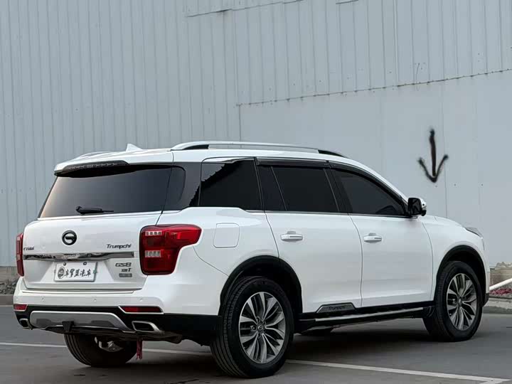 Trumpchi GS8 2017 320 T 2 WD ( ) — фото 7
