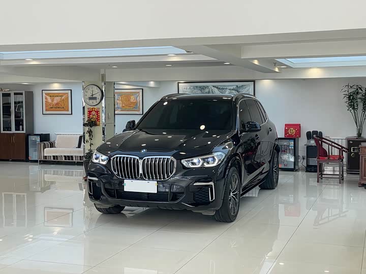 BMW X5 2022 x Drive 30 Li M — фото 1